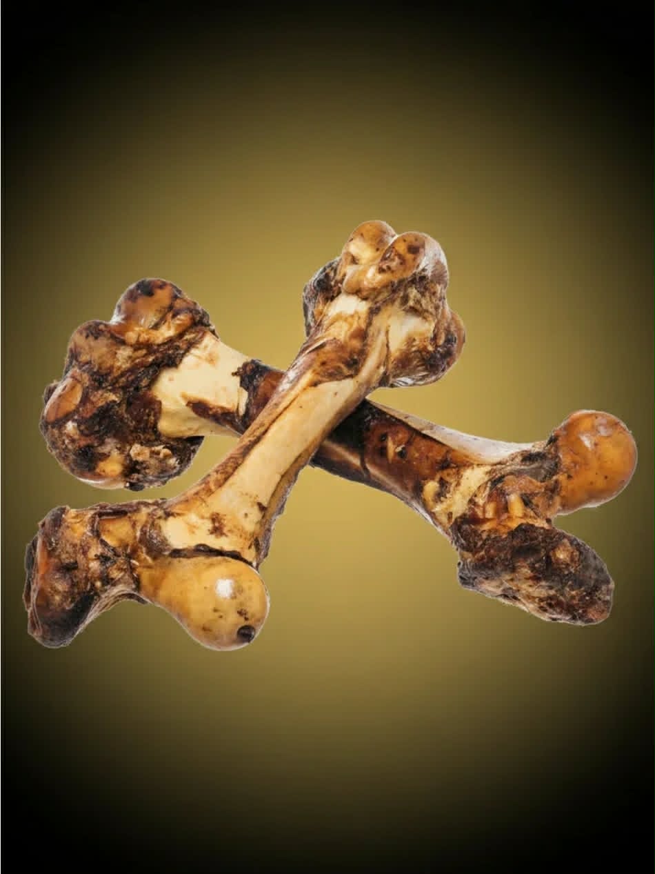 BEEF DINOSAUR BONE