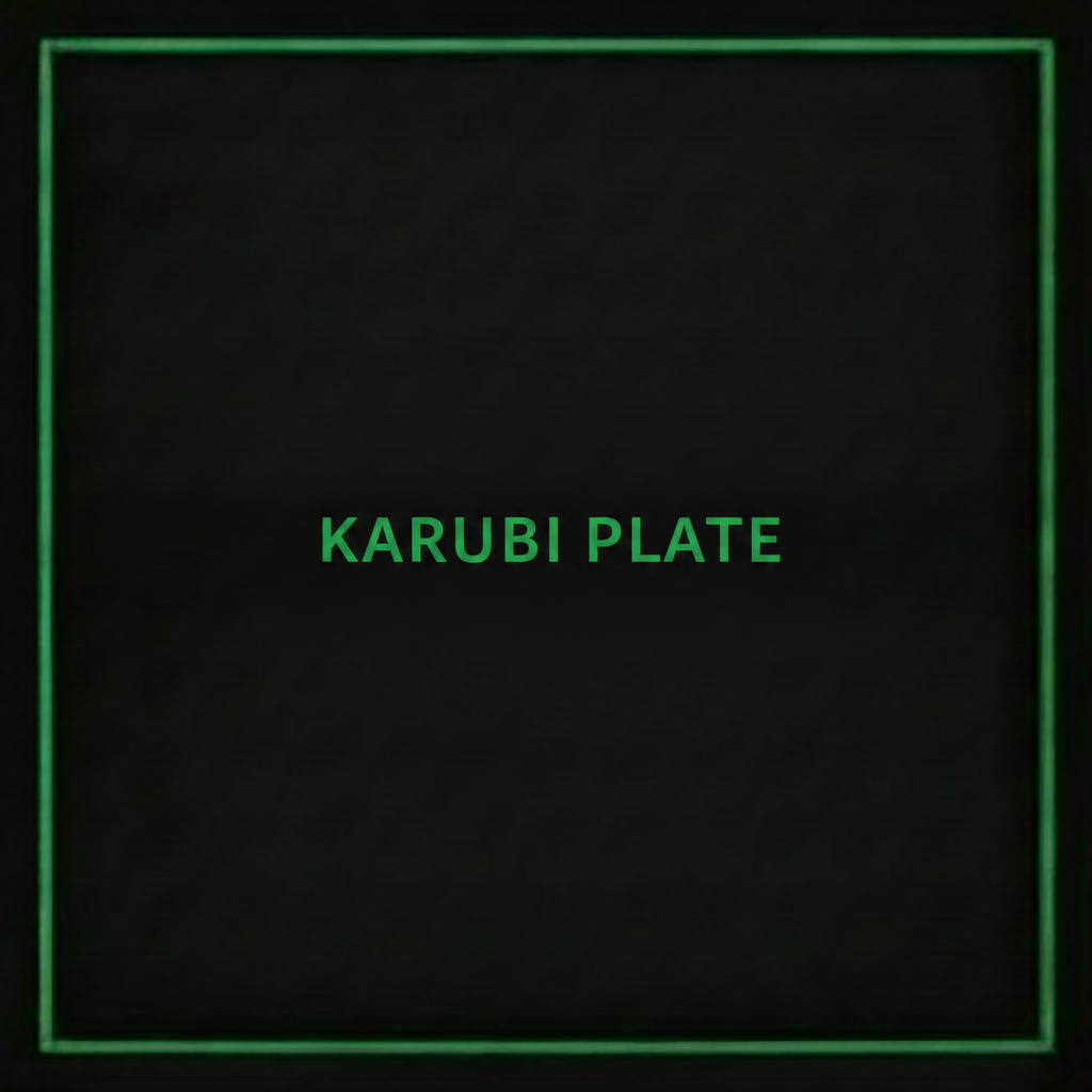 KARUBI PLATE MB4-5 2.5KG R/W